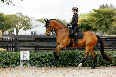 LeMieux Brilliance Dressage Square Black| Online For Equine