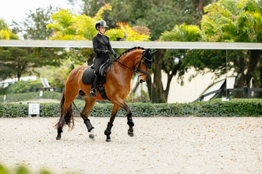 LeMieux Brilliance Dressage Square Black| Online For Equine