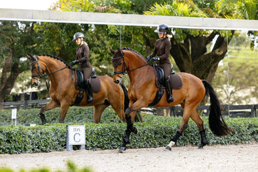 LeMieux Brilliance Dressage Square Espresso| Online For Equine