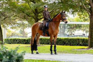 LeMieux Brilliance Dressage Square Espresso| Online For Equine