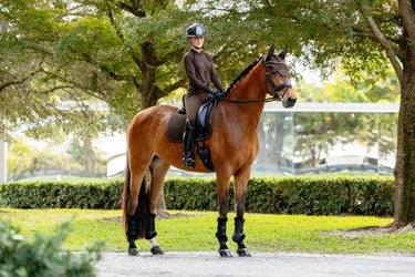 LeMieux Brilliance Dressage Square Espresso| Online For Equine