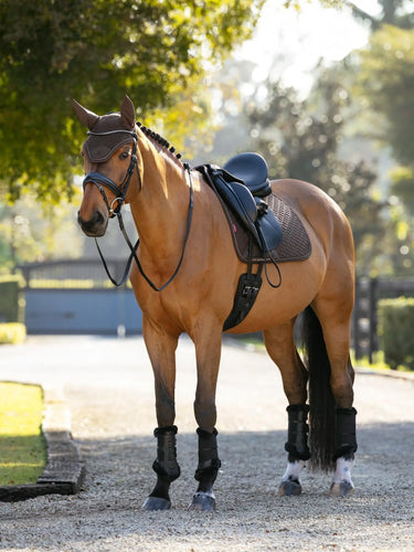 LeMieux Brilliance Dressage Square Espresso| Online For Equine