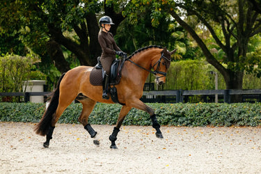 LeMieux Brilliance Dressage Square Espresso| Online For Equine