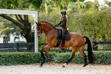 LeMieux Brilliance Dressage Square Espresso| Online For Equine