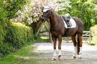LeMieux Brilliance Dressage Square White| Online For Equine