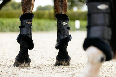 LeMieux Brilliance Fleece Edged Brushing Boot Black| Online For Equine