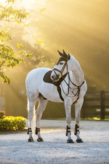 LeMieux Brilliance Fly Hood Black| Online For Equine