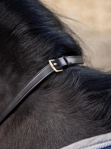 Buy the LeMieux Brown/Brass Magna Grip Rubber Reins | Online for Equine