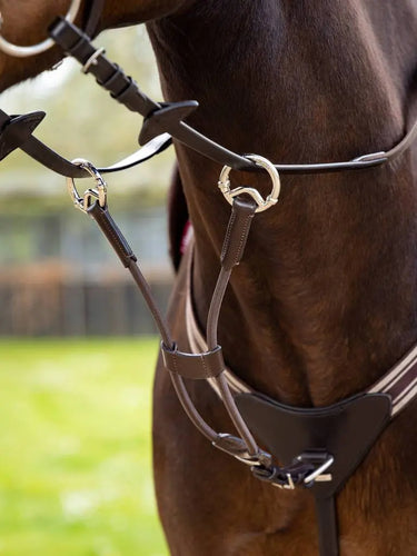 Buy LeMieux Brown/Silver Elasticated Martingale Attachment | Online for Equine