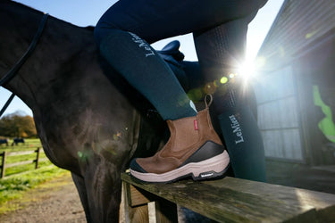 LeMieux Brown Trex Waterproof Chelsea Boots| Online For Equine