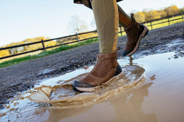 LeMieux Brown Trex Waterproof Zip Boots| Online For Equine