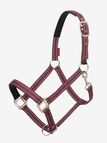 Buy LeMieux Burgundy Essential Yard Headcollar| Online for Equine