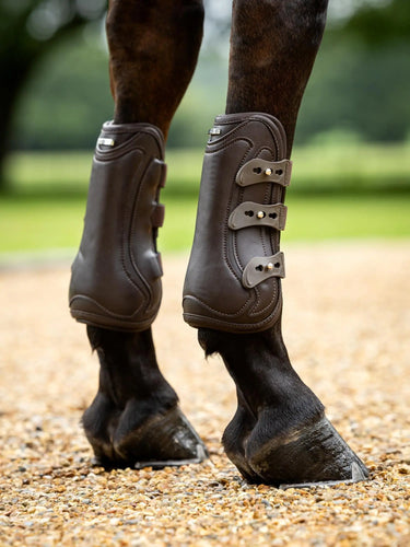 LeMieux Capella 3 Strap Tendon Boots Brown| Online For Equine