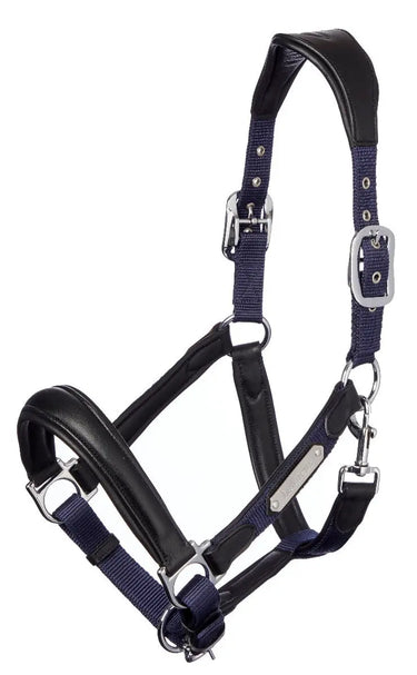 Buy LeMieux Capella Leather Headcollar| Online for Equine