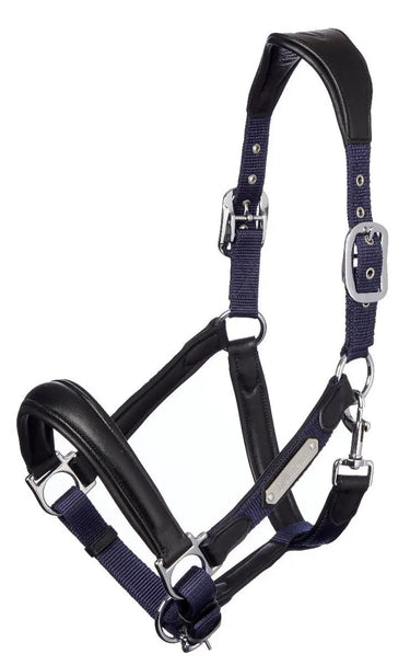 Buy LeMieux Capella Leather Headcollar| Online for Equine