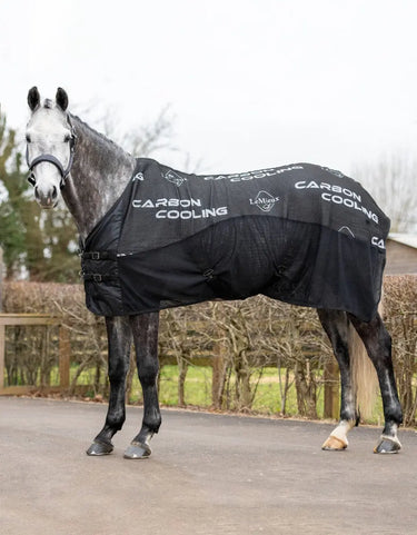 Buy Digby & Fox Bandana | Online for Equine