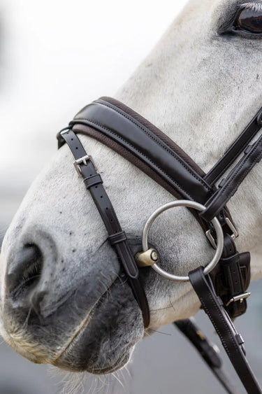 Buy LeMieux Classic Dressage Bridle| Online for Equine