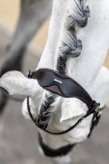 Buy LeMieux Classic Dressage Bridle| Online for Equine