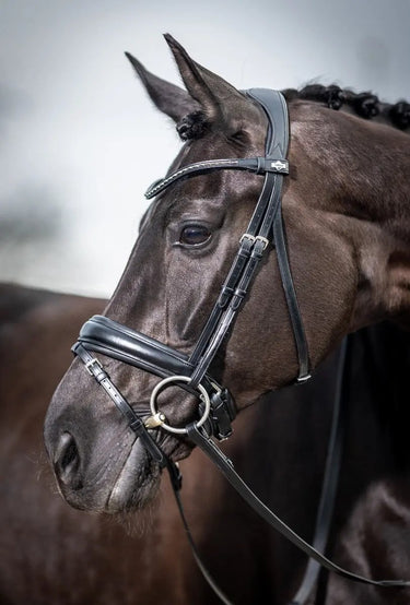 Buy LeMieux Classic Dressage Bridle| Online for Equine
