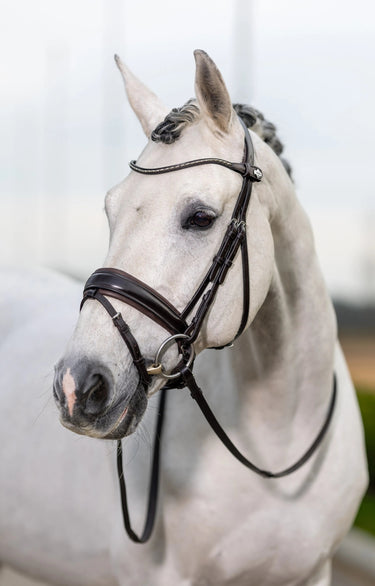 Buy LeMieux Classic Dressage Bridle| Online for Equine