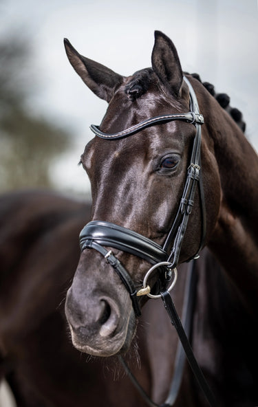 Buy LeMieux Classic Dressage Bridle| Online for Equine