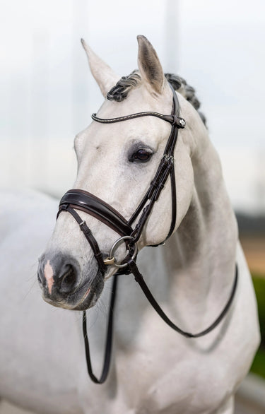 Buy LeMieux Classic Dressage Bridle| Online for Equine