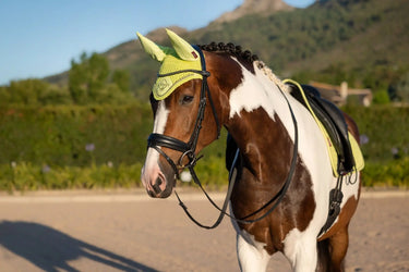 Buy LeMieux Classic Fly Hood Kiwi - X Large| Online for Equine