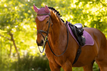 LeMieux Classic Fly Hood Mallow| Online For Equine
