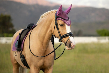 LeMieux Classic Fly Hood Mallow| Online For Equine