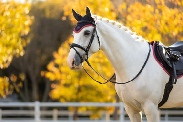 LeMieux Classic Fly Hood Navy/Cranberry| Online For Equine
