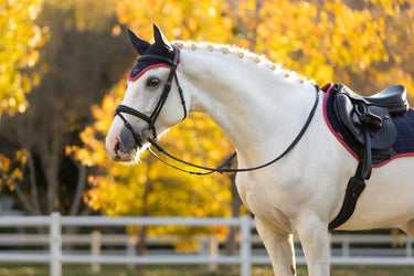 LeMieux Classic Fly Hood Navy/Cranberry| Online For Equine