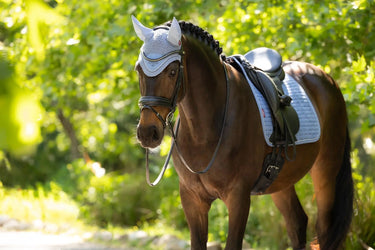 LeMieux Classic Fly Hood Powder Blue| Online For Equine