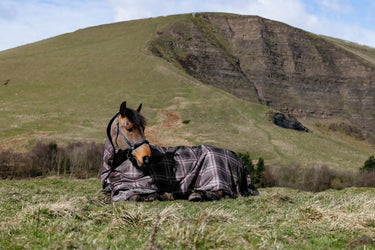 LeMieux Cocoa Arika Heritage Check 100g Turnout Rug Cocoa| Online For Equine