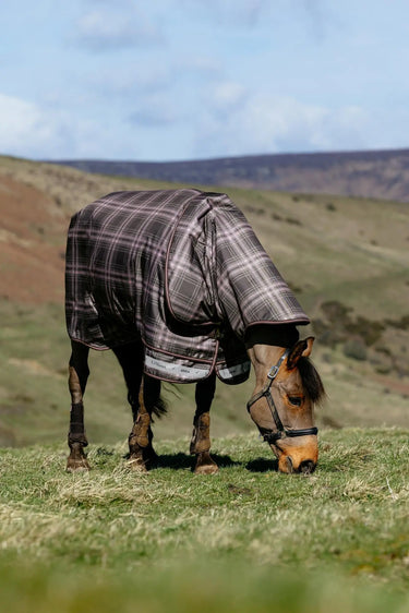 LeMieux Cocoa Arika Heritage Check 100g Turnout Rug Cocoa| Online For Equine