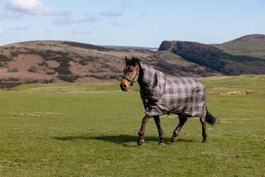 LeMieux Cocoa Arika Heritage Check 100g Turnout Rug Cocoa| Online For Equine