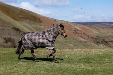LeMieux Cocoa Arika Heritage Check 100g Turnout Rug Cocoa| Online For Equine