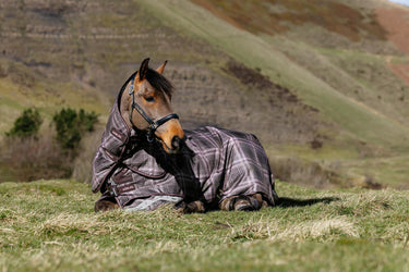 LeMieux Cocoa Arika Heritage Check 200g Turnout Rug Cocoa| Online For Equine