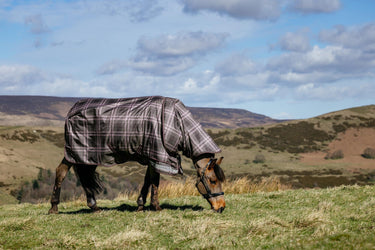 LeMieux Cocoa Arika Heritage Check 200g Turnout Rug Cocoa| Online For Equine