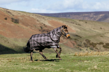 LeMieux Cocoa Arika Heritage Check 200g Turnout Rug Cocoa| Online For Equine