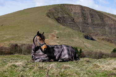 LeMieux Cocoa Arika Heritage Check 200g Turnout Rug Cocoa| Online For Equine