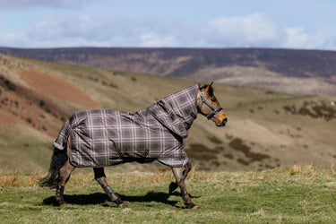 LeMieux Cocoa Arika Heritage Check 200g Turnout Rug Cocoa| Online For Equine