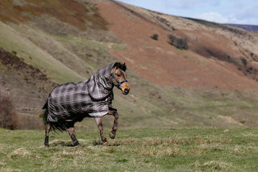 LeMieux Cocoa Arika Heritage Check 200g Turnout Rug Cocoa| Online For Equine