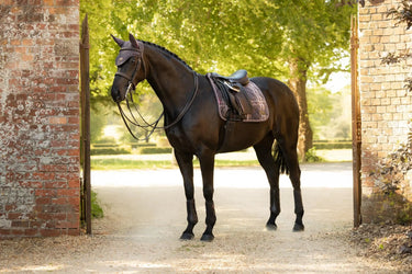 LeMieux Cocoa Heritage Check Dressage Square Cocoa| Online For Equine