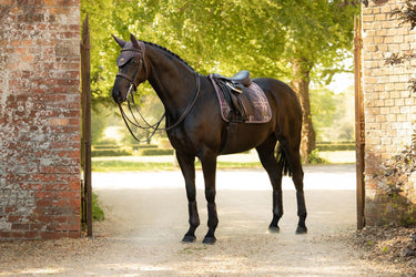 LeMieux Cocoa Heritage Check Dressage Square Cocoa| Online For Equine