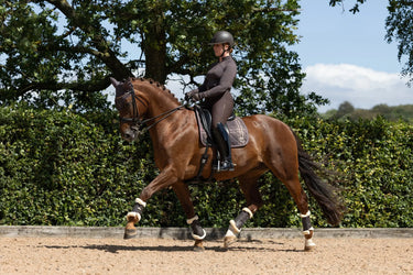 LeMieux Cocoa Heritage Check Dressage Square Cocoa| Online For Equine