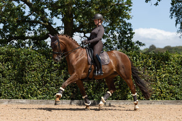 LeMieux Cocoa Heritage Check Dressage Square Cocoa| Online For Equine