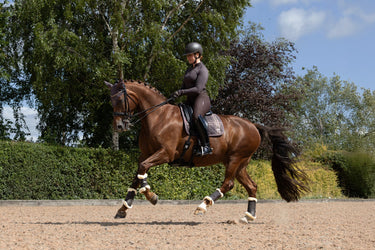 LeMieux Cocoa Heritage Check Dressage Square Cocoa| Online For Equine