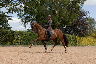 LeMieux Cocoa Heritage Check Dressage Square Cocoa| Online For Equine