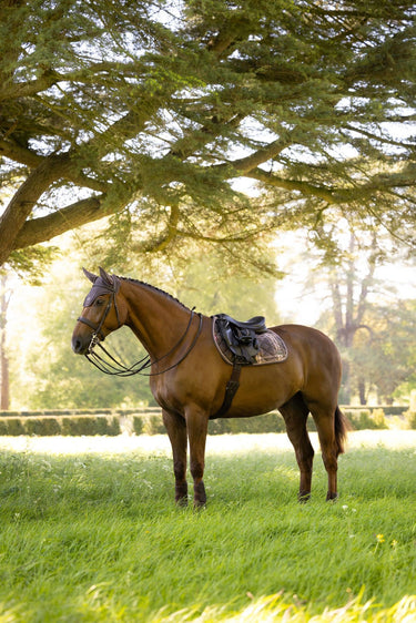 LeMieux Cocoa Heritage Check Jump Square Cocoa| Online For Equine