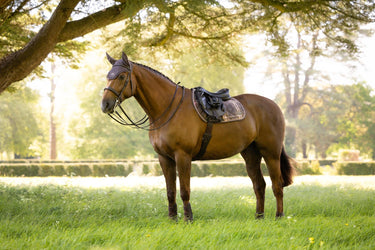 LeMieux Cocoa Heritage Check Jump Square Cocoa| Online For Equine